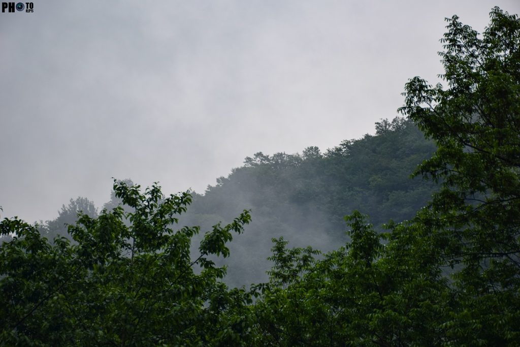 سبک عکاسی طبیعت (Nature Photography)